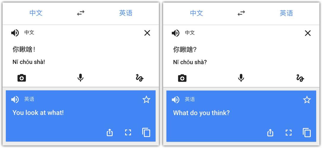 谷歌网页翻译插件的相关图片
